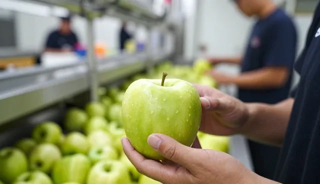 鲜果供应套餐在让农业更高效中的实际应用分析